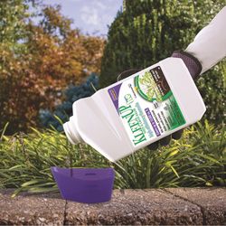 Bonide KleenUp Weed and Grass Killer Concentrate 32 oz