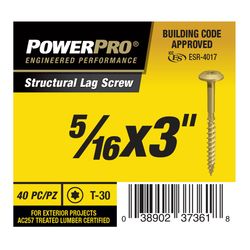 PowerPro 5/16 in. X 3 in. L Star Carbon Steel Lag Screw 40 pk