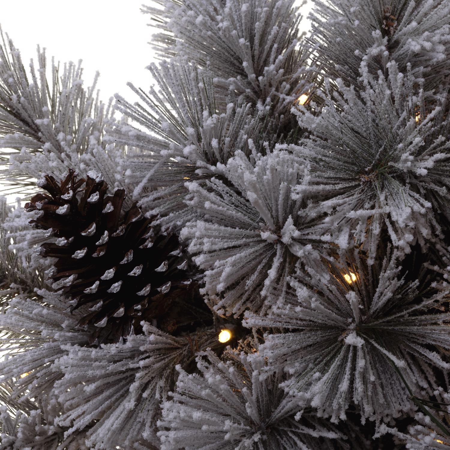 image-3