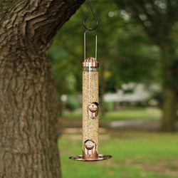 Perky-Pet Wild Bird and Finch 1.8 lb Copper 2-in-1 Bird Feeder 4 ports