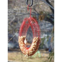 Songbird Essentials Woodpecker Metal Whole Peanut Wreath Ring Bird Feeder