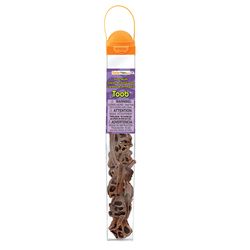 Safari Ltd. Toobs Dinosaur Skulls Toy 11 pc