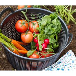 Crest 3.7 gal Plastic Tub Drainer Round
