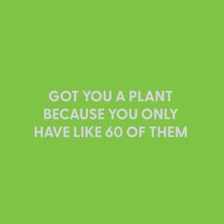 Chive Got You a Plant Because You Only Have Like 60 of Them Blank Greeting Card