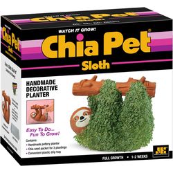 Chia Pet Sloth Decorative Planter Clay 1 pk