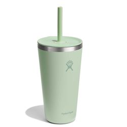 Hydroflask 28 fl. oz. Aloe BPA Free Insulated Bottle