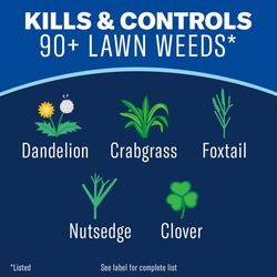 BioAdvanced Lawn Weed and Crabgrass Killer RTU Liquid 1 gal