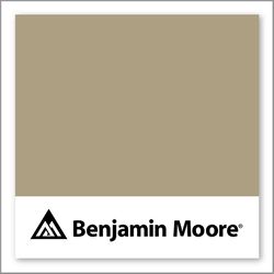 Benjamin Moore Shiitake Mushroom CSP-1040