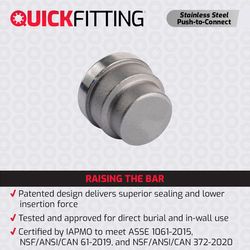 QuickFitting Push to Connect 3/4 in. PF in. Stainless Steel Cap