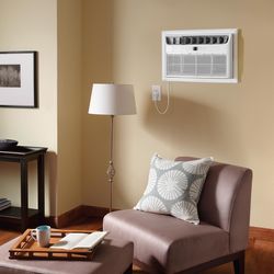 Frigidaire 10000 BTU 115 V Through-the-Wall Air Conditioner w/Remote 450 sq ft