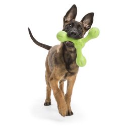 West Paw Zogoflex Echo For Dog Purple Plastic Skamp Tri-Handle Dog Toy Large 1 pk
