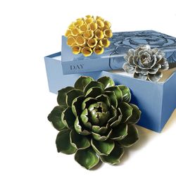 Chive Ceramic Flowers 2.9 in. H X 13.3 in. L Glazed Assorted Ceramic Day Box Set