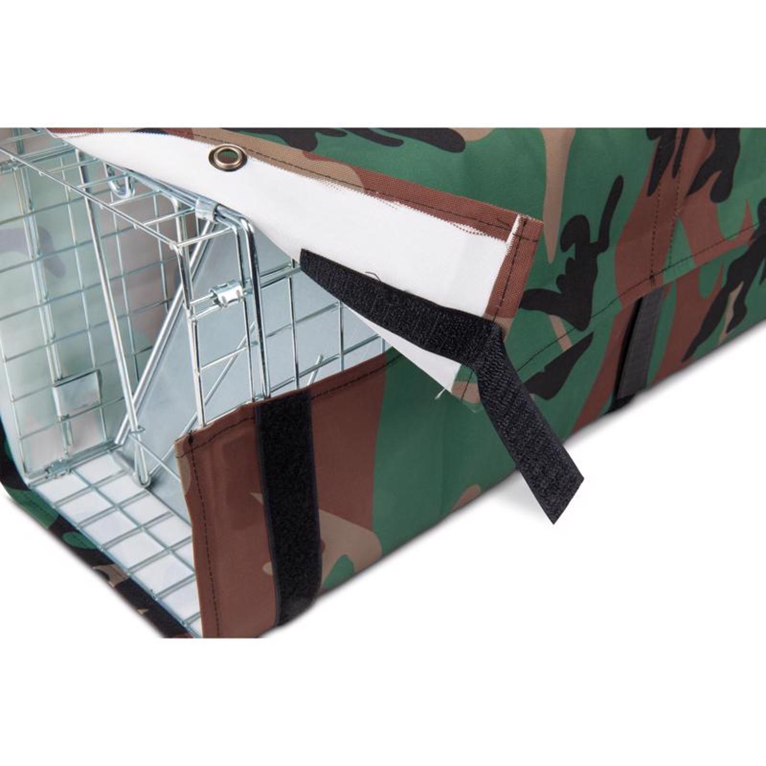 image-7