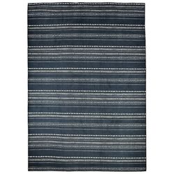 Homefires 5 ft. W X 7 ft. L Blue/White Global Stripes Polyester Area Rug