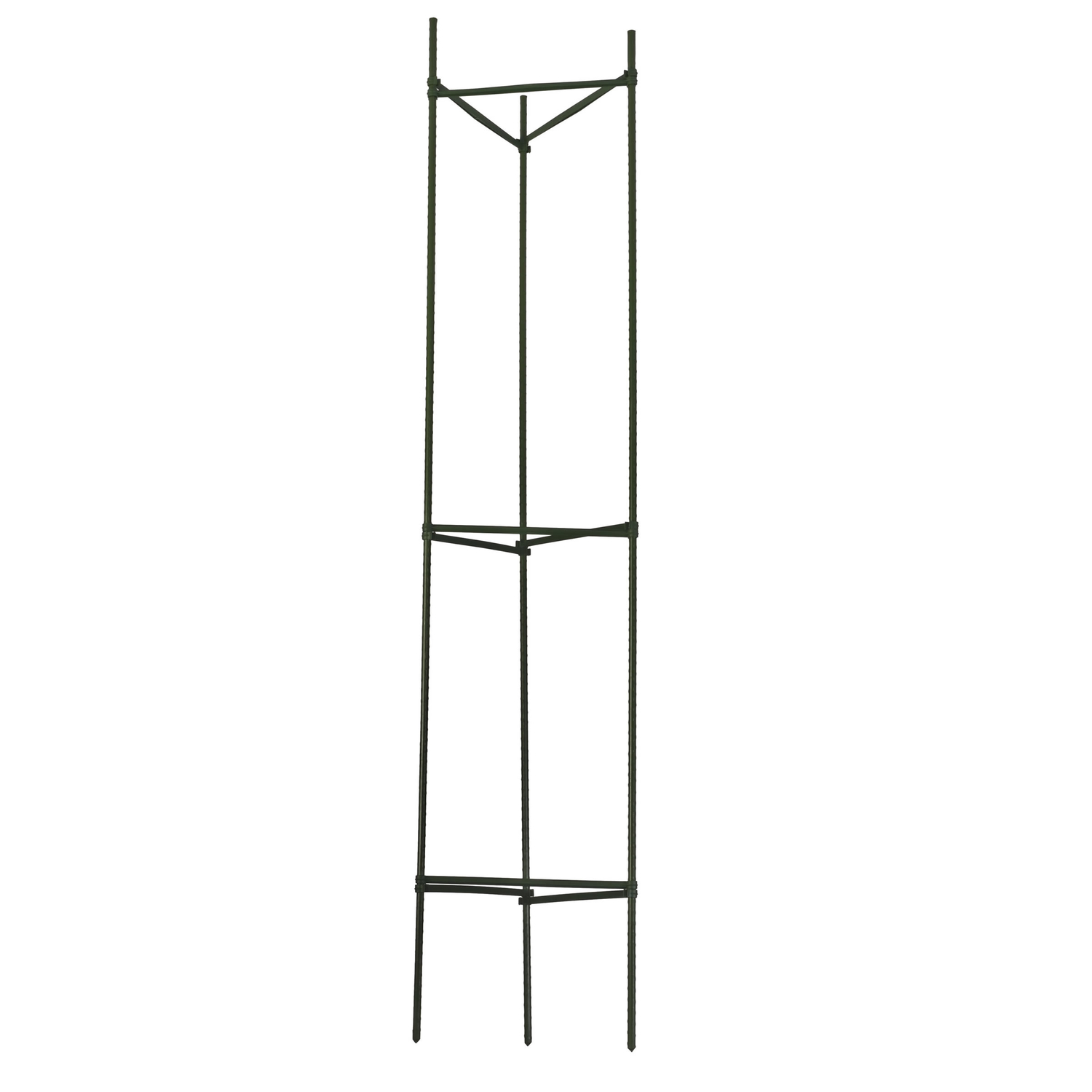image-2