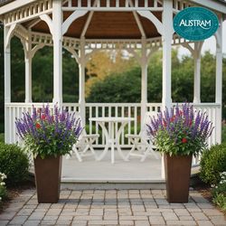 Austram Vizcaya 20 in. H X 8 in. W X 12 in. D Stone Planter Rust