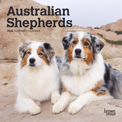 BrownTrout Publishers 2026 Mini .10 in. H X 12 in. L Multicolored Paper Australian Shepherds Calenda