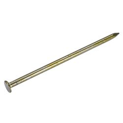 Grip-Rite 10D 2-7/8 in. Sinker Vinyl Steel Nail Countersunk Head 50 lb