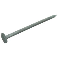 Grip-Rite 3 in. Roofing Hot-Dipped Galvanized Steel Nail Flat Head 1 lb