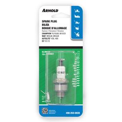 Arnold Spark Plug RJ19LM, 861ECO, E3.10,  BR2LM