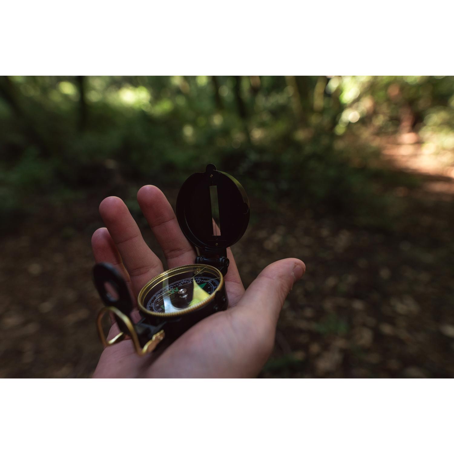 image-5
