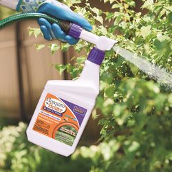 Bonide Mosquito Beater Insect Killer Liquid 32 oz