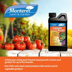 Monterey Weed and Grass Herbicide Concentrate 1 pt