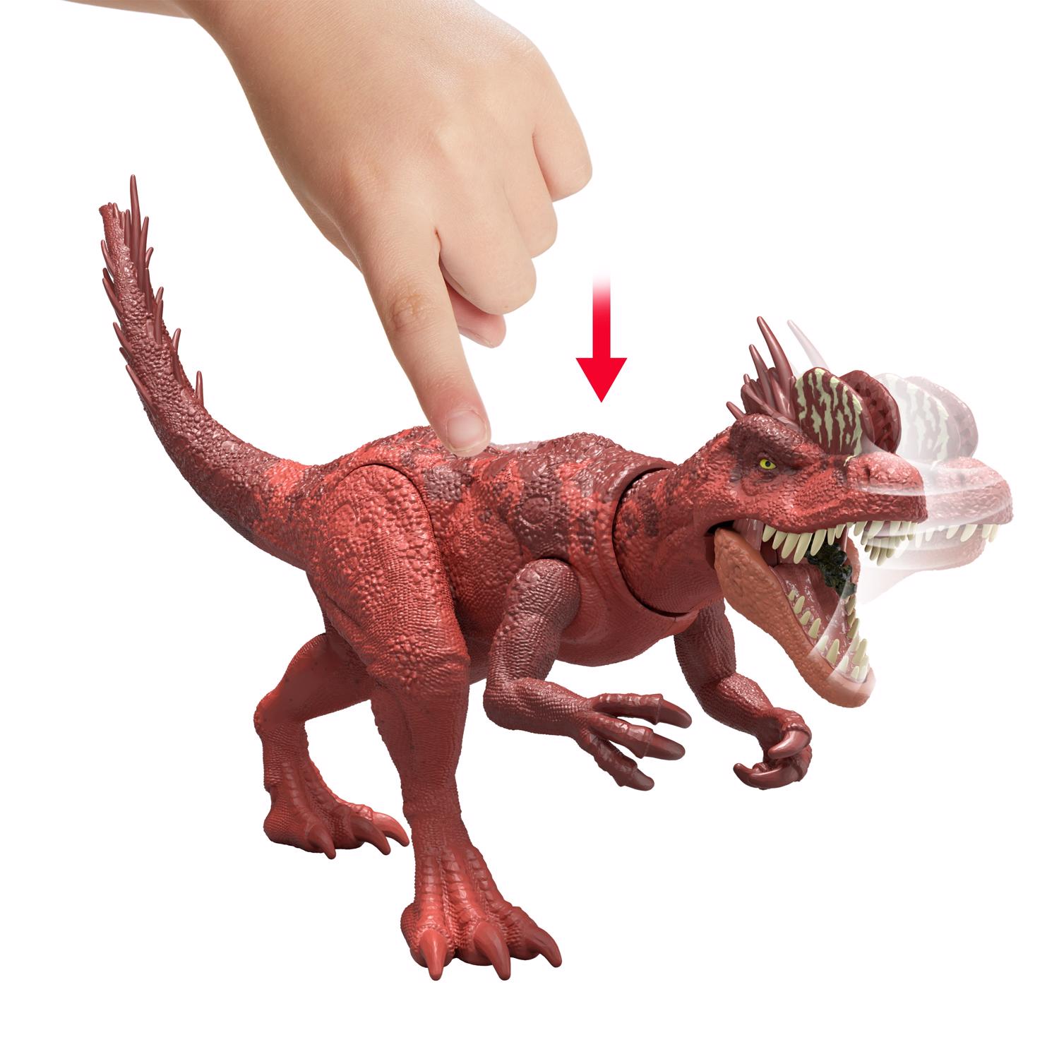 image-6