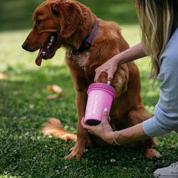 Dexas MudBuster Pink Dog Paw Cleaner 1 pk