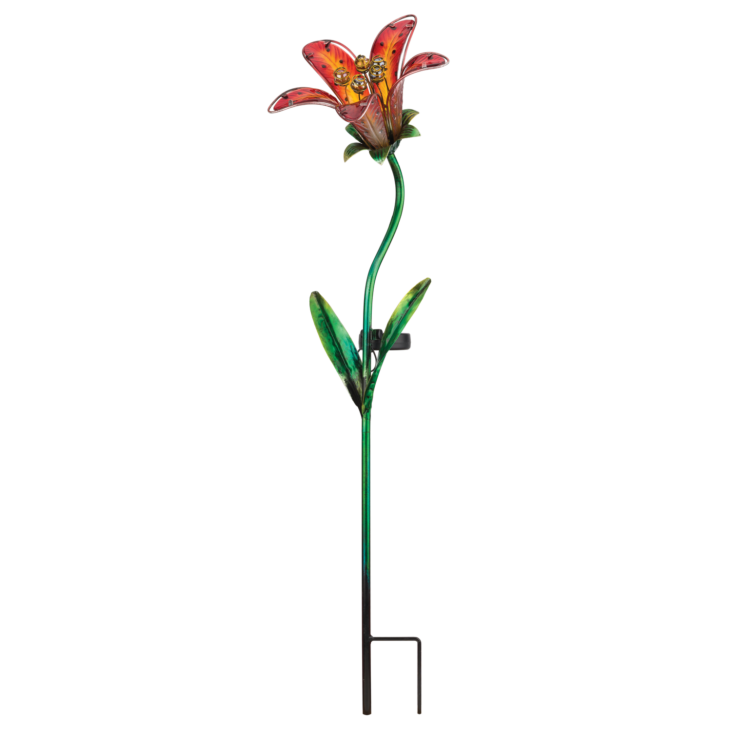 image-3