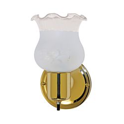 Nuvo 1-Light Polished Brass Metallic Wall Sconce