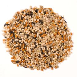 Nature's Nuts XtremeClean Wild Bird Food 10 lb