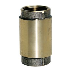 Water Source Brass 1 in. Check Valve