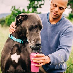 Highwave AutoDogMug Magenta Plastic 22 oz Portable Watering Bottle/Bowl For Dogs