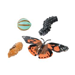 Insect Lore Butterfly Life Cycle Figurines Multicolored 4 pc