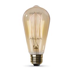 Feit The Original 40 W ST19 Vintage Incandescent Bulb E26 (Medium) Soft White 1 pk