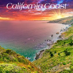 BrownTrout Publishers 2026 Square Flap .10 in. H X 12 in. L Multicolored Paper California Coast Cale