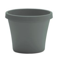 Bloem Terra 14.25 in. H X 17.25 in. W X 11.75 in. D Plastic Traditional Planter Basil