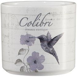 SK 2.7 in. H X 3.15 in. D Clay Vintage Animal Colibri Ceramic Pot Whitewash