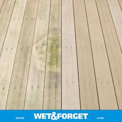 Wet & Forget Outdoor Cleaner 48 oz
