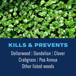 BioAdvanced Weed & Feed Southern Lawn Food For Multiple Grass Types 4000 sq ft