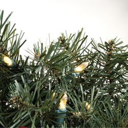 Celebrations 24 in. D LED Prelit Multicolored/Warm White Mixed Pine Rechargeable Wreath