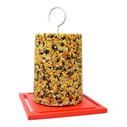 Songbird Essentials Plastic Hanging Tray Bird Feeder