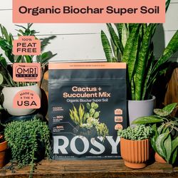 Rosy Soil Organic Cacti and Succulent Soil 4 qt