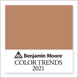 Benjamin Moore Potters Clay 1221