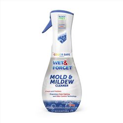 Wet & Forget No Scent Mold and Mildew Stain Remover 16.9 oz Foam