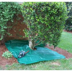 Bosmere 84 in. Pruning Drop Cloth