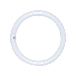 Satco 32 W T9 1.13 in. D X 12 in. L Circline Fluorescent Bulb Daylight Tubular 6500 K 1 pk