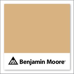 Benjamin Moore Dark Beige 2165-40