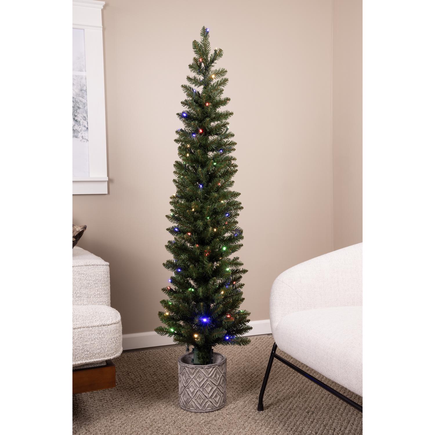 image-5